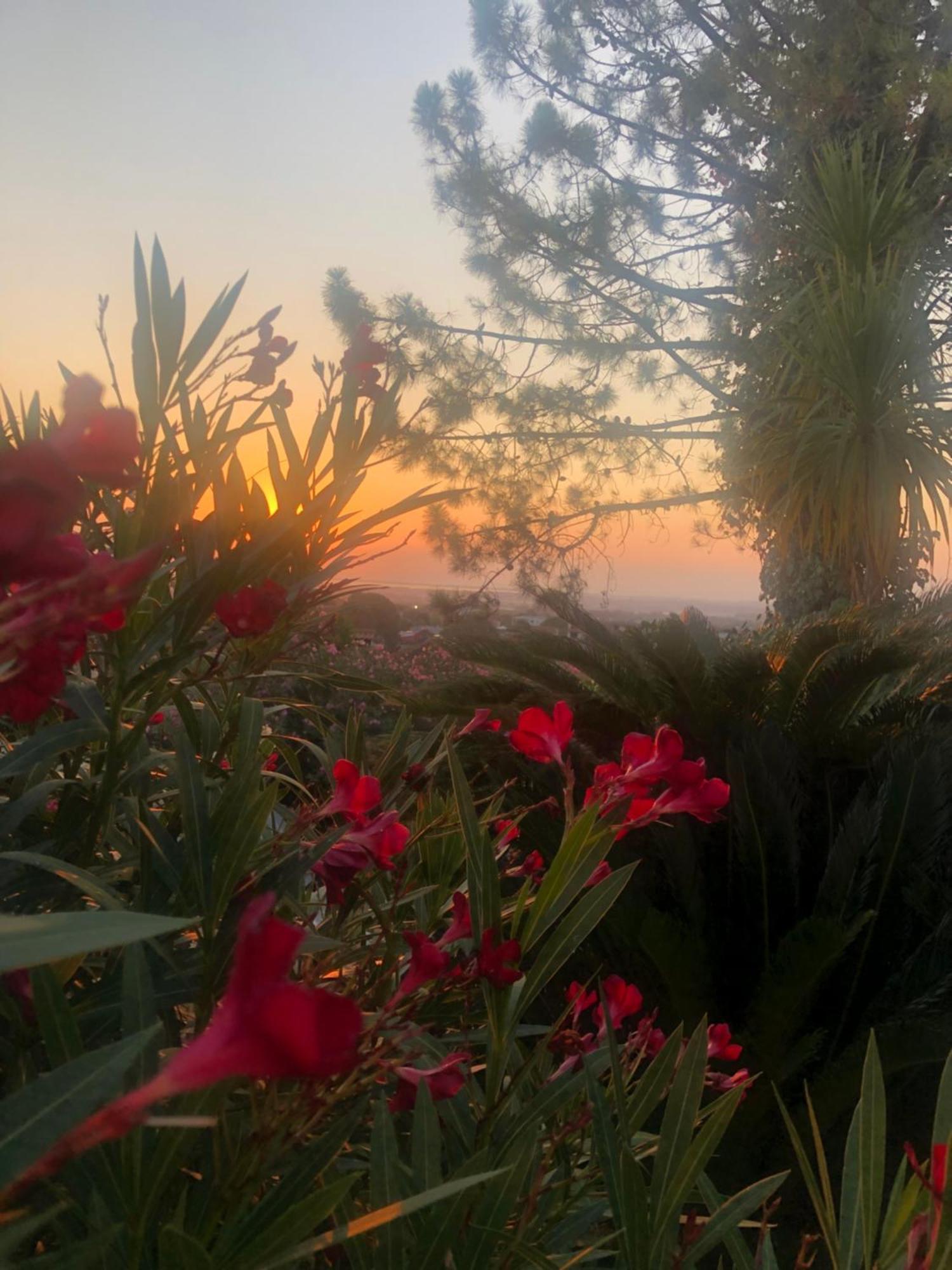 Villa Julietta Borgo  Dış mekan fotoğraf